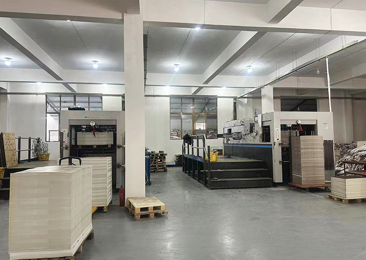 Cangnan County Longxing Printing Co., Ltd.